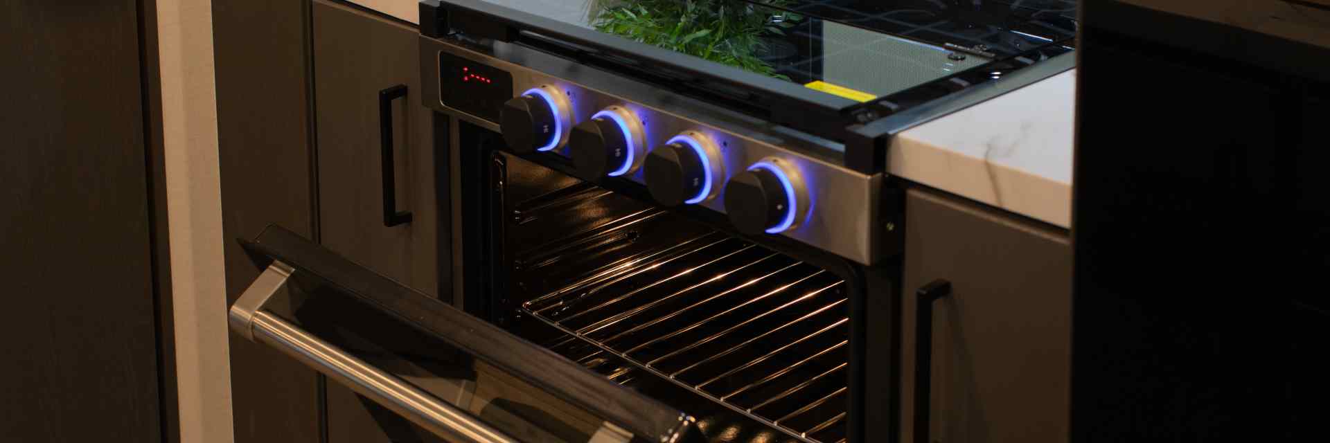 How to Choose the Best RV Oven for Your Rig