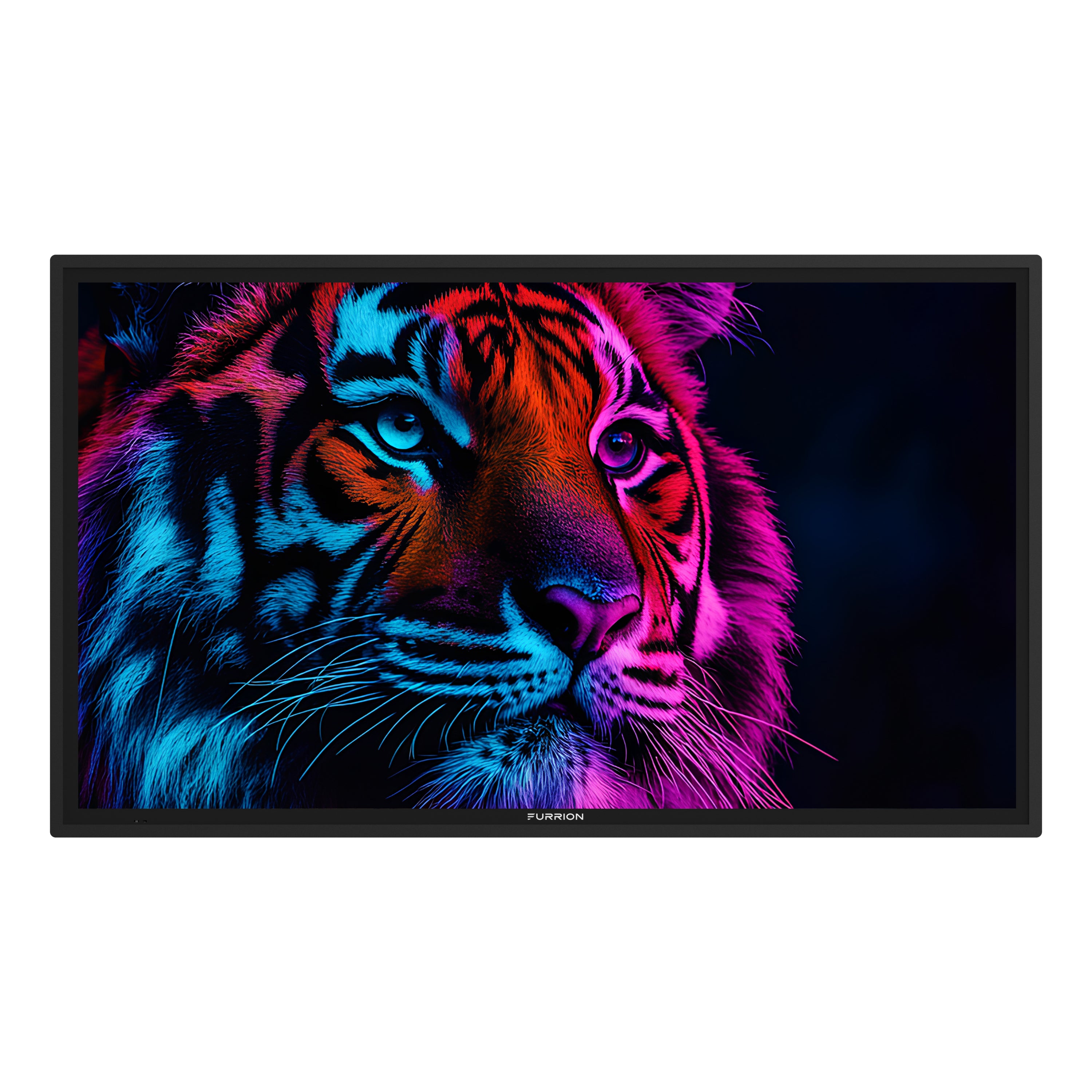 Furrion Aurora® Partial-Sun 2 4K LED Outdoor Smart TV